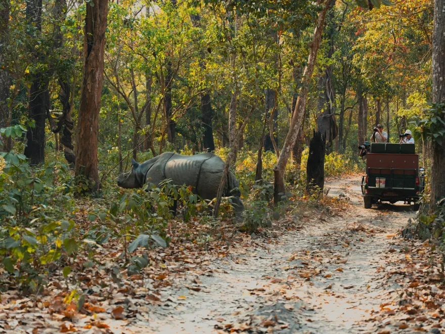 Chitwan Wildlife Adventure Tour